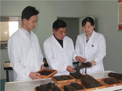 傳承茯茶非遺技藝、開拓創(chuàng)新引領(lǐng)行業(yè)發(fā)展
