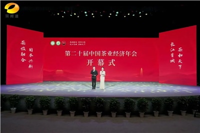 【聚焦第二十屆中國茶業(yè)經(jīng)濟年會】益陽茶廠榮獲“民族團結互助企業(yè)”、“2024年度茶業(yè)重點企業(yè)”榮譽稱號